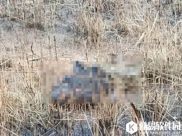 泰国男子捡到炸弹开直播炫耀 拿起敲击当场被炸身亡