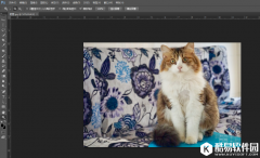 PS抠图方法新分享要用调整边缘工具