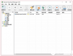 使用IDM下载器的几点建议值得一看
