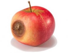 十种更好的表达“你代码写的很烂”方法