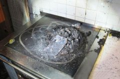 清洁机器人自杀 主人喊冤