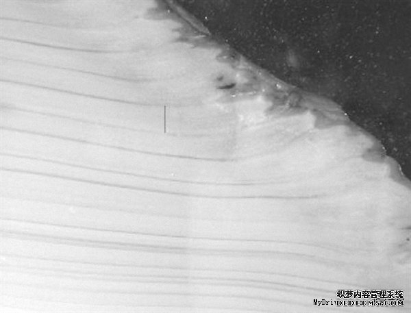 507岁的蛤蜊死了 是科学家在乱搞吗？