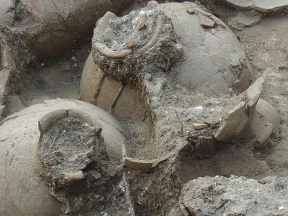 3700年的老酒味道如何