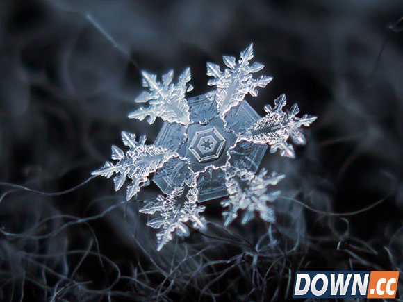 Beautiful-snowflakes