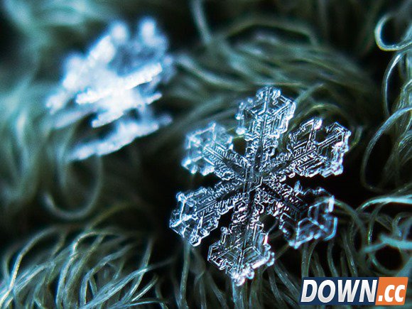 Beautiful-snowflakes-1