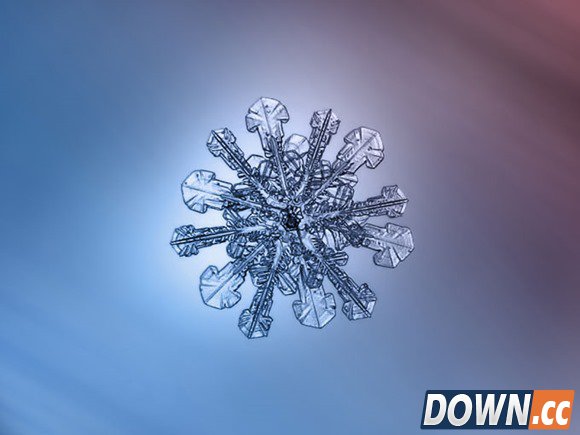 Beautiful-snowflakes-2