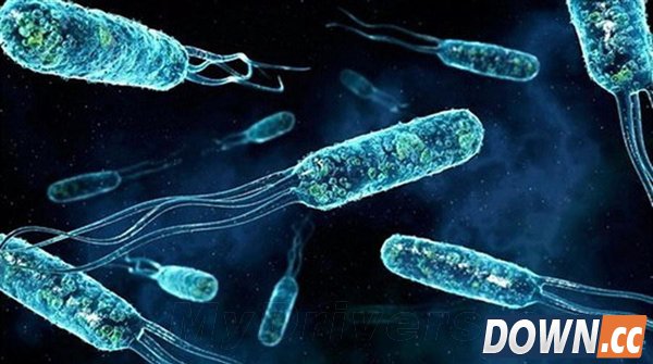 组图:十大通过食物传播的可怕疾病