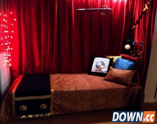 《星际迷航》女粉丝把自家地下室搞成太空舱