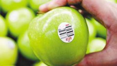 食品条形码“8”开头就是转基因 错