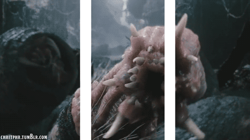 Eek! I won't be sleeping tonight knowing that thing is out to get me.