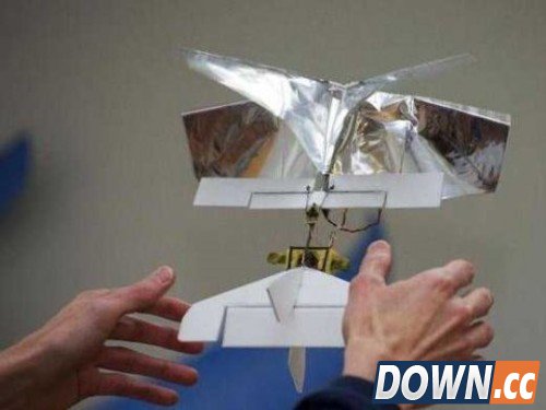 荷兰科学家研制出最轻无人机:仅20克
