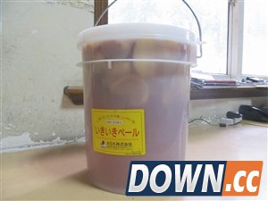 淘宝热卖治百病“神桶” 竟系日本垃圾桶