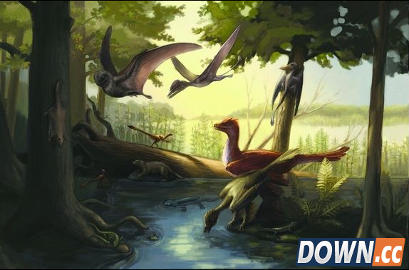 内蒙古发现的侏罗纪怪异动物化石