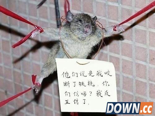 缩水虚标欺诈观众:聊聊电影院的那些小动作