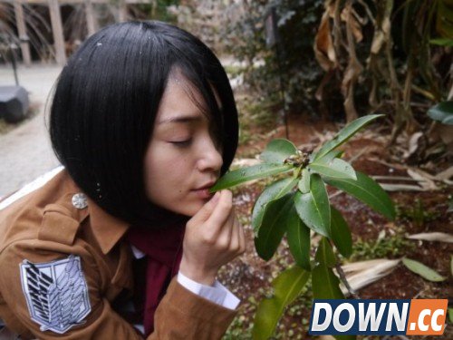 32岁女优迷上《进击的巨人》 COS演15岁三笠妹