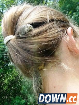 惊呆！松鼠居然在女孩头发里安家