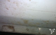 新型自我修复车漆 不再担心车身生锈