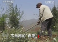 焦点访谈：云南13所小学变相强迫学生存话费送手机