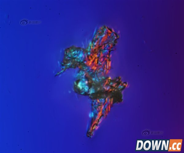 吓尿了！放大1000倍的北京雾霾