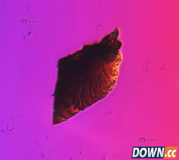 吓尿了！放大1000倍的北京雾霾