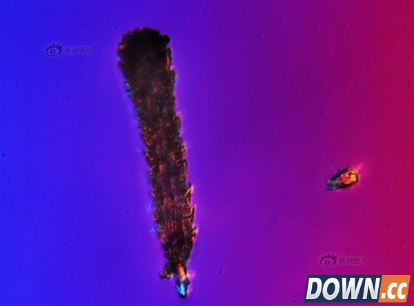 吓尿了！放大1000倍的北京雾霾