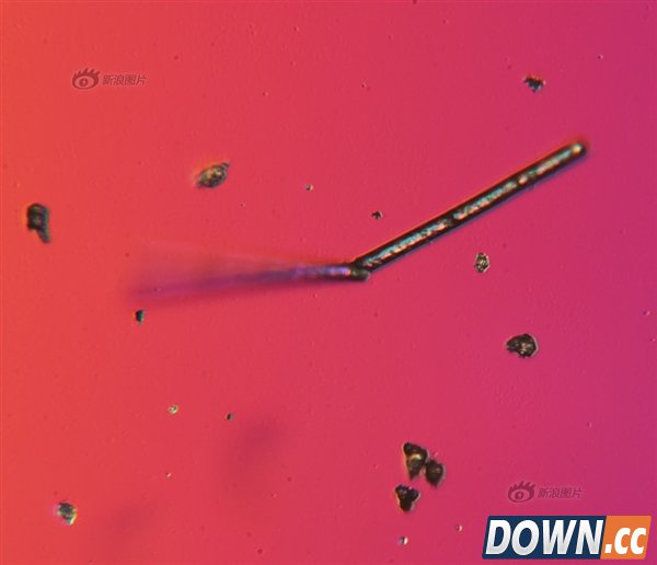 吓尿了！放大1000倍的北京雾霾