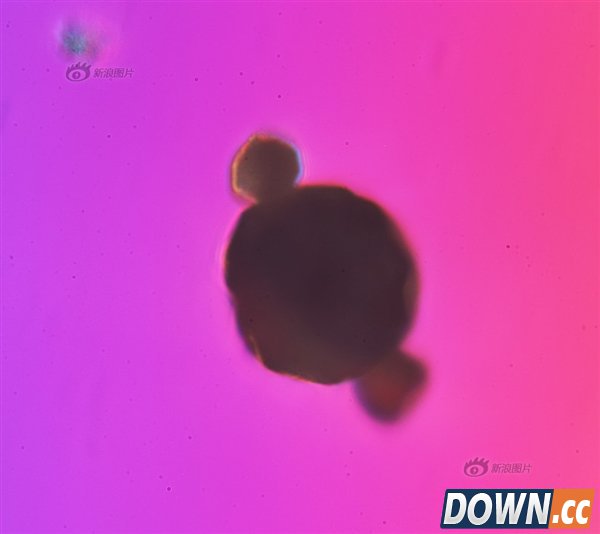 吓尿了！放大1000倍的北京雾霾