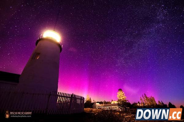 拍了这些神奇照片后他辞职了