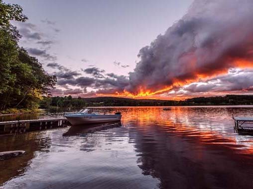 为了拍这些神奇照片  他辞职了