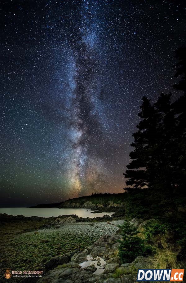 拍了这些神奇照片后他辞职了