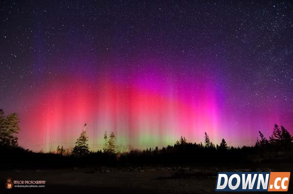 拍了这些神奇照片后他辞职了