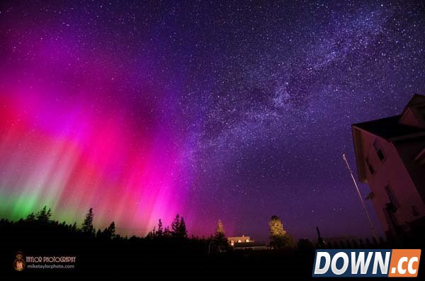 拍了这些神奇照片后他辞职了