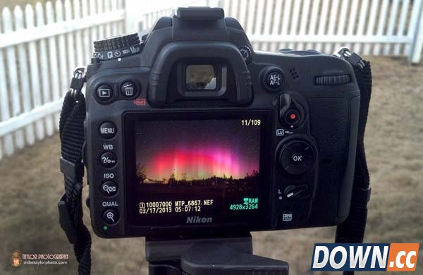 拍了这些神奇照片后他辞职了