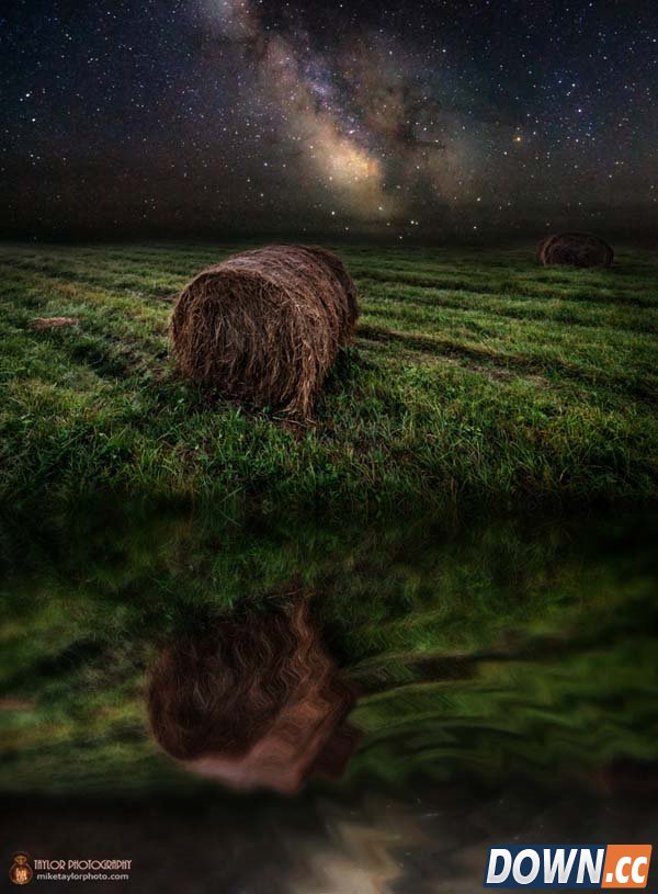 拍了这些神奇照片后他辞职了