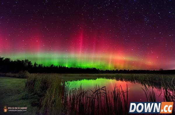 拍了这些神奇照片后他辞职了