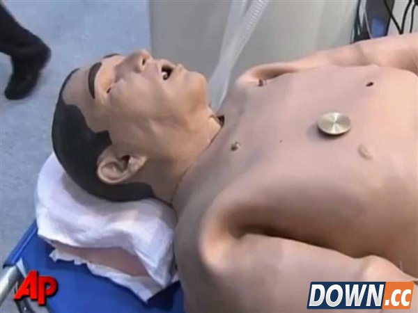 组图:岛国奇葩的机器人