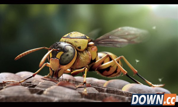 天啊 这不是真？超逼真的3D渲染图