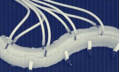 “终结者”要终结 未来机器人变软了