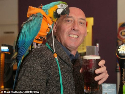 鹦鹉爱喝酒爱摇滚 曾为兴趣赶走“女友”
