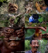 网友质疑：《舌尖2》抄袭BBC