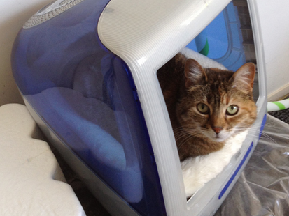 废物利用 10招让老旧数码产品大变身