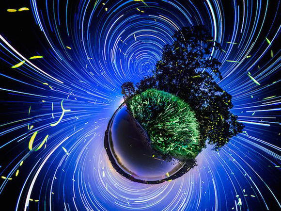 萤火虫摄影：梦幻到极点