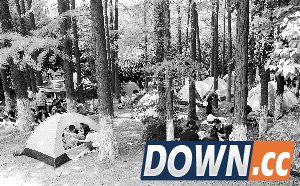 网友吐槽5.1小长假：去动物园看人