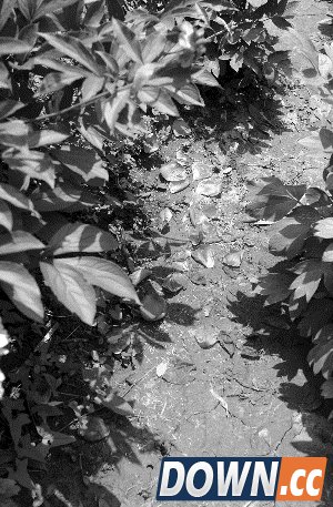 网友吐槽5.1小长假：去动物园看人