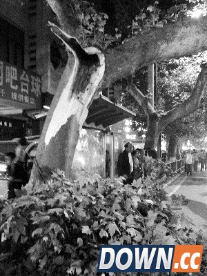 网友吐槽5.1小长假：去动物园看人