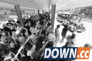 网友吐槽5.1小长假：去动物园看人