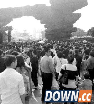 网友吐槽5.1小长假：去动物园看人