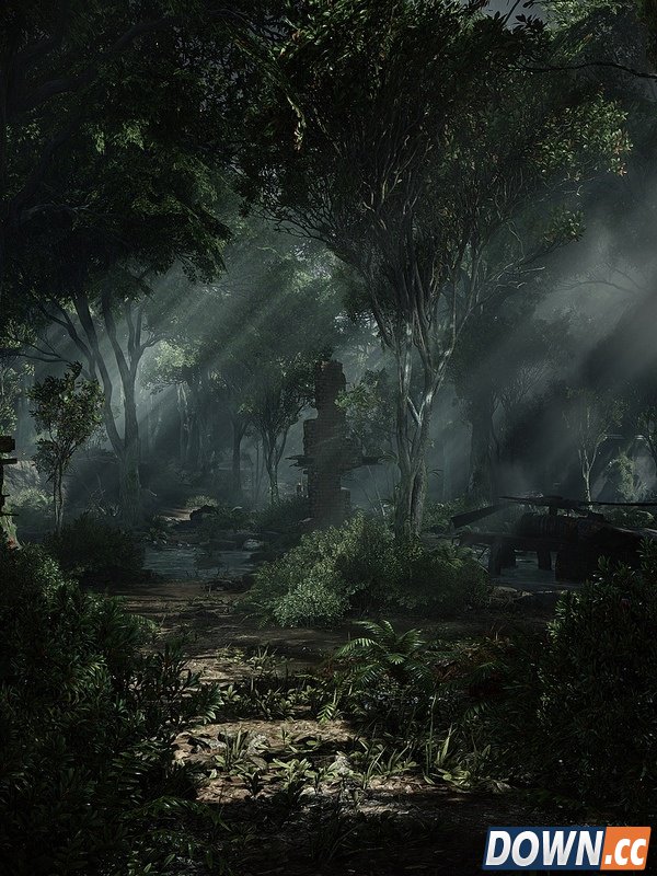 华丽8K截图又来了：这次是《孤岛危机3》