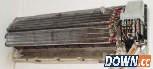 盲目节俭酿大祸 