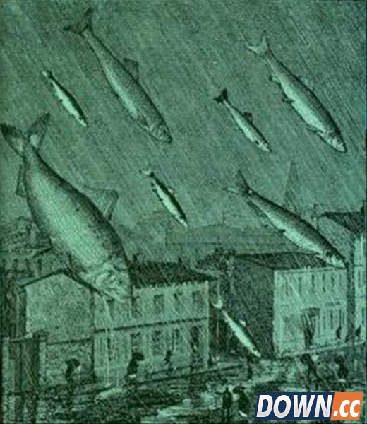 十大最怪异天气：百年一见的“空中降鱼”